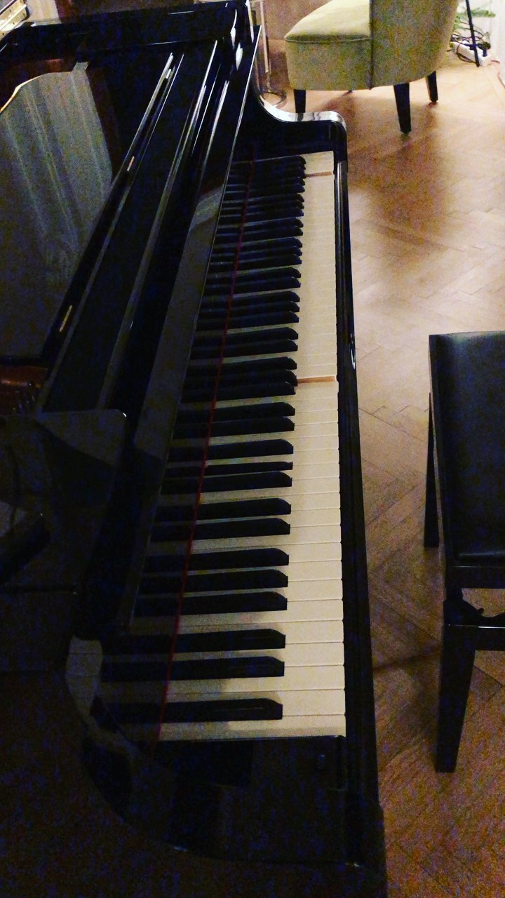 Il pianista invisibile