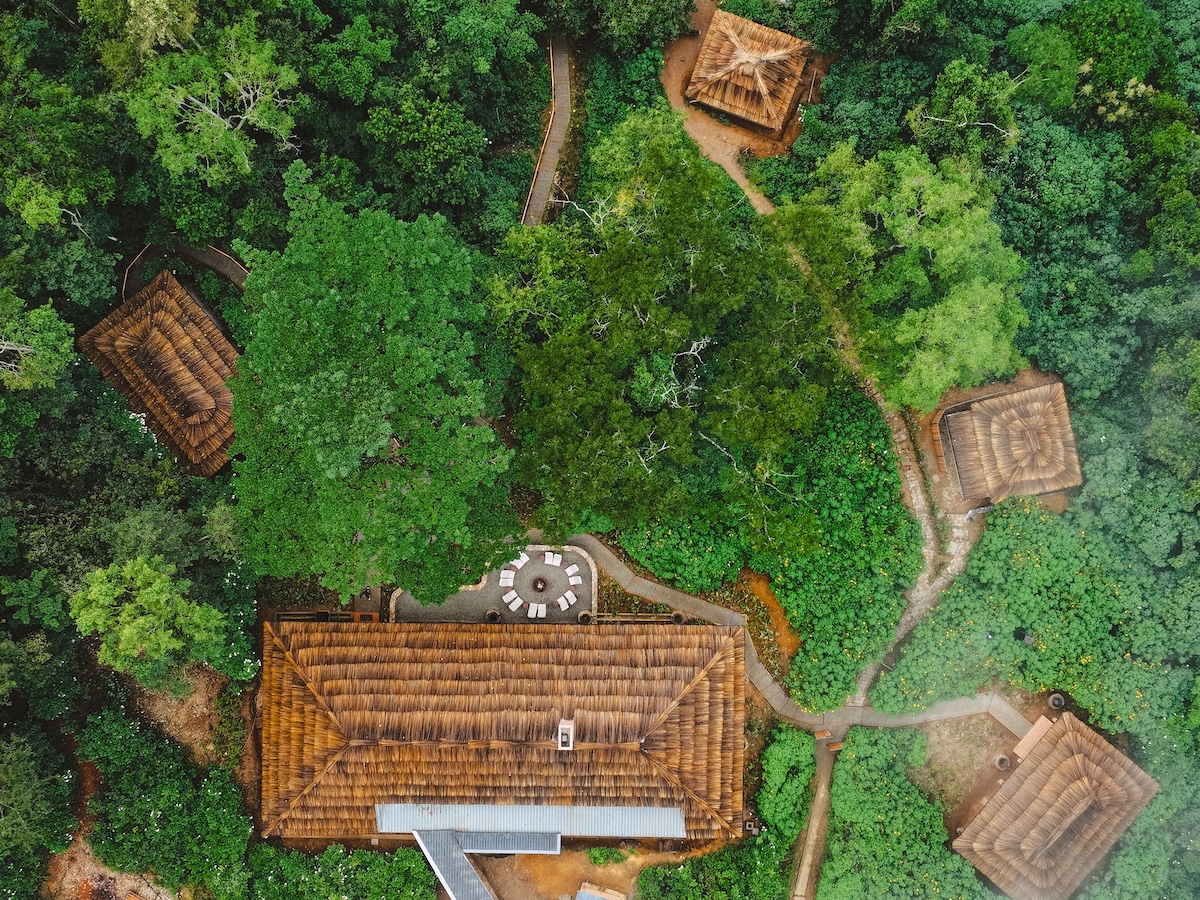 Gorilla Forest Lodge Uganda_Jun'25_by Willem van den Heever-73